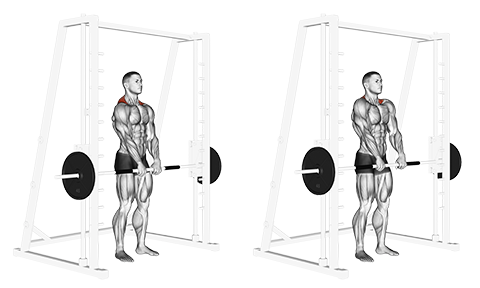 Front shrug sale